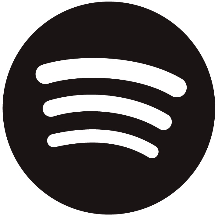 What makes a Song Popular on Spotify?